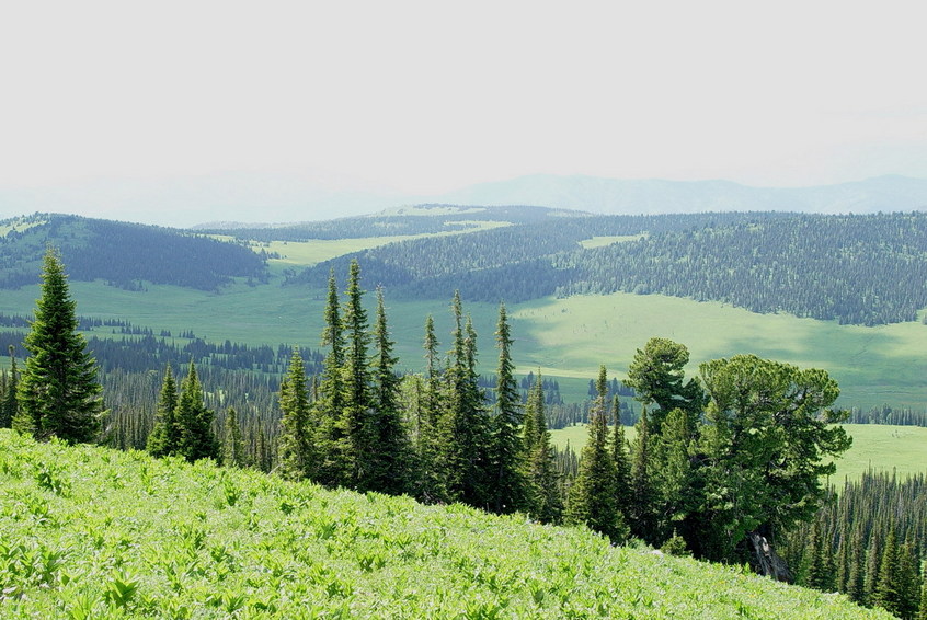 View to the West, Kazakhstan