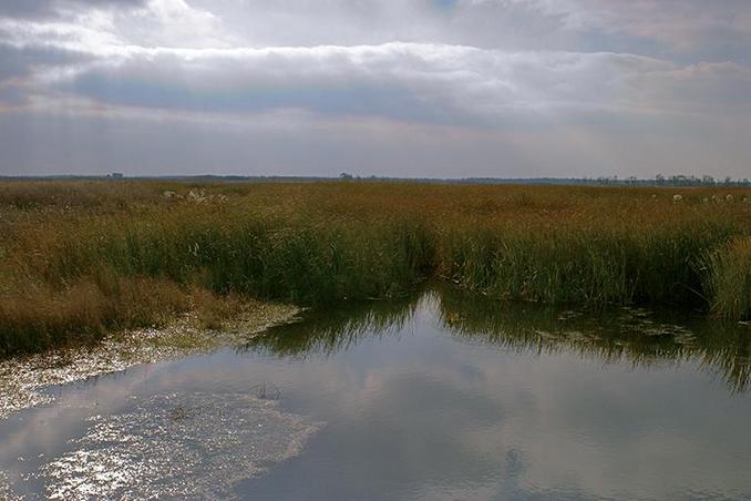 The nameless lake near the confluence 51N51E