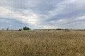 Visit #2: [21-Jul-23]