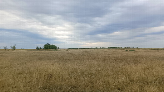 #1: North view