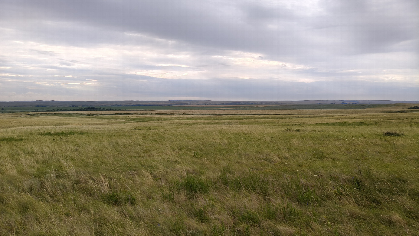 East view