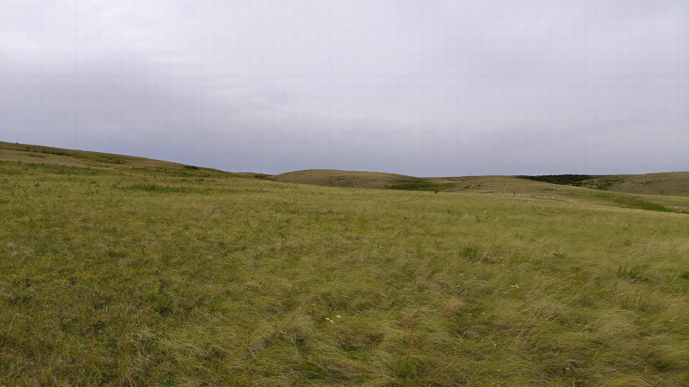 West view