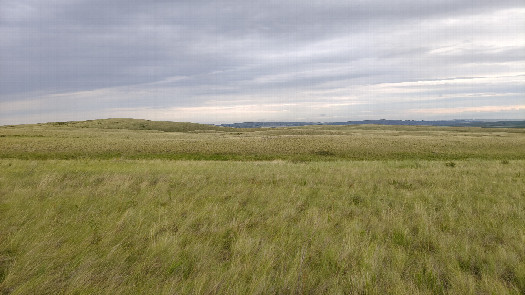 #1: North view