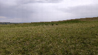 #3: South view