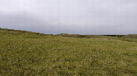 #4: West view