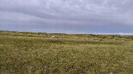 #8: Parking in the steppe