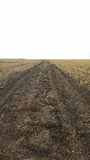 #8: Field dirt road / полевая дорога