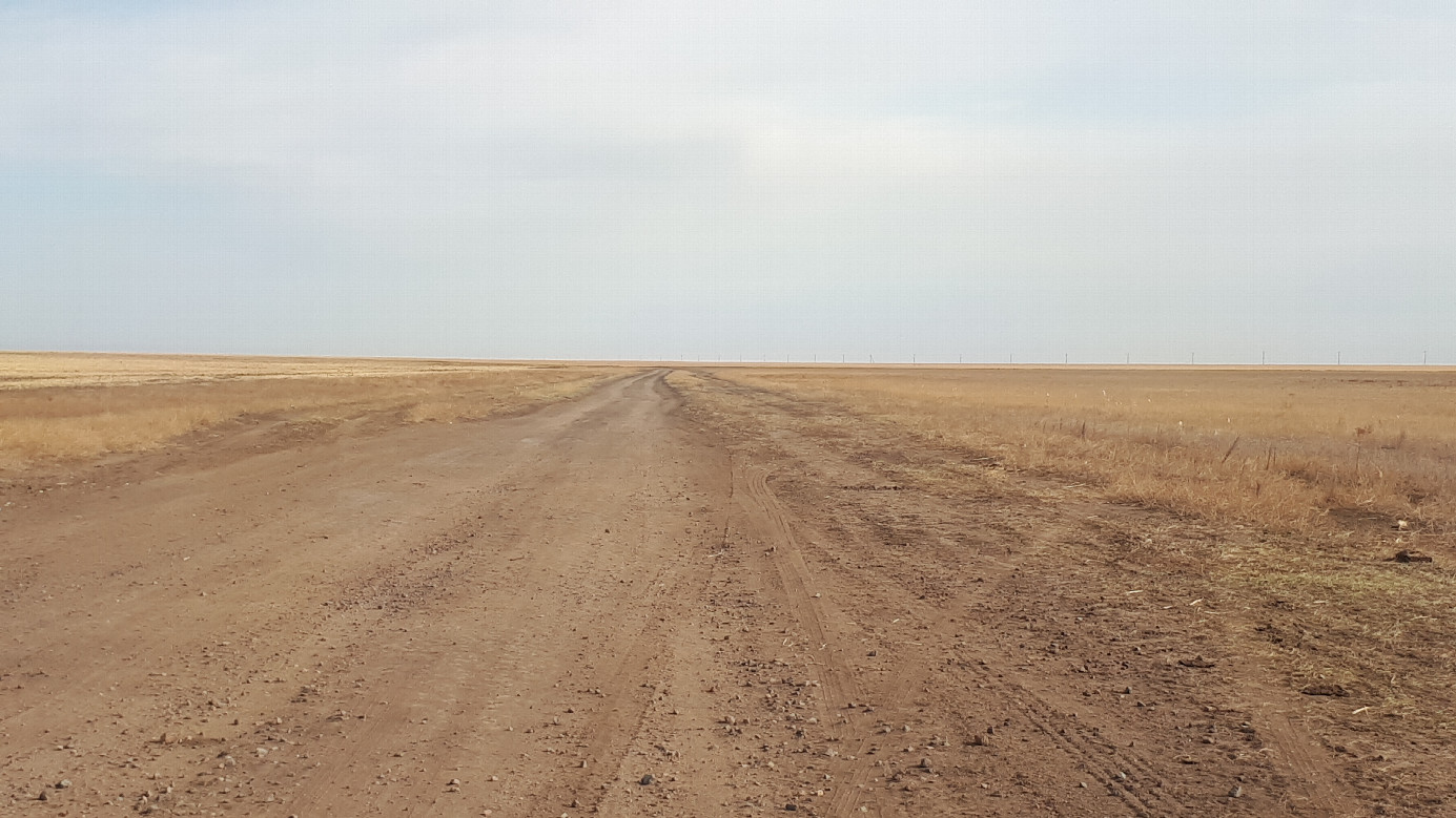 Field dirt road / полевая дорога