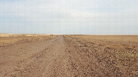 #7: Field dirt road / полевая дорога