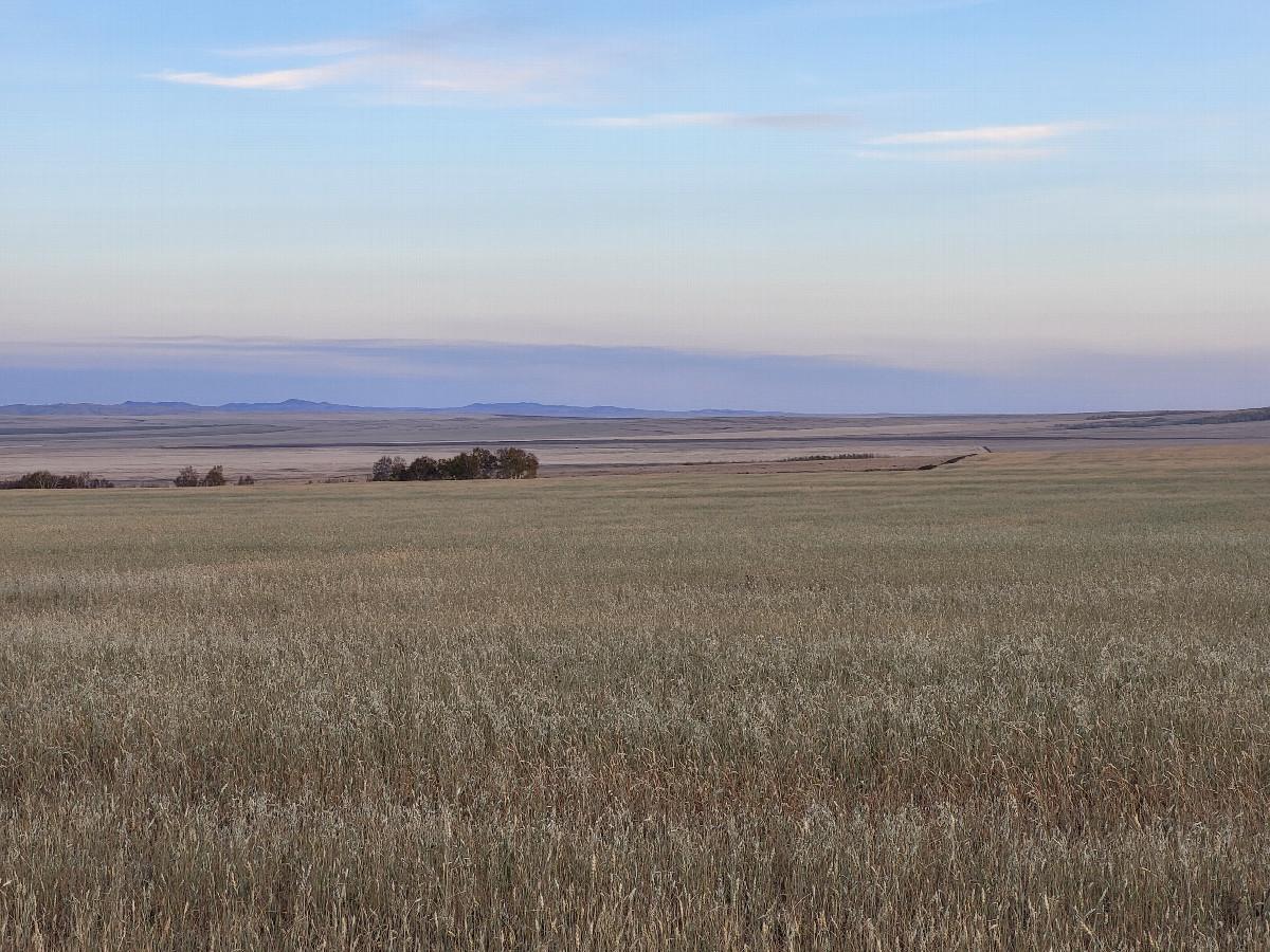 Local landscape / местный пейзаж