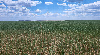 #2: юг / South