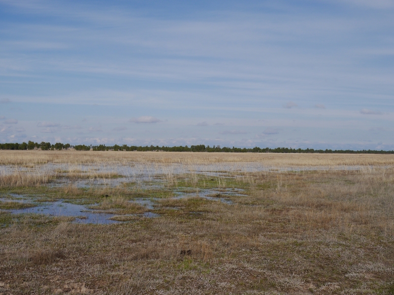 General view of the confluence