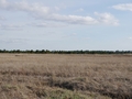 #4: South view