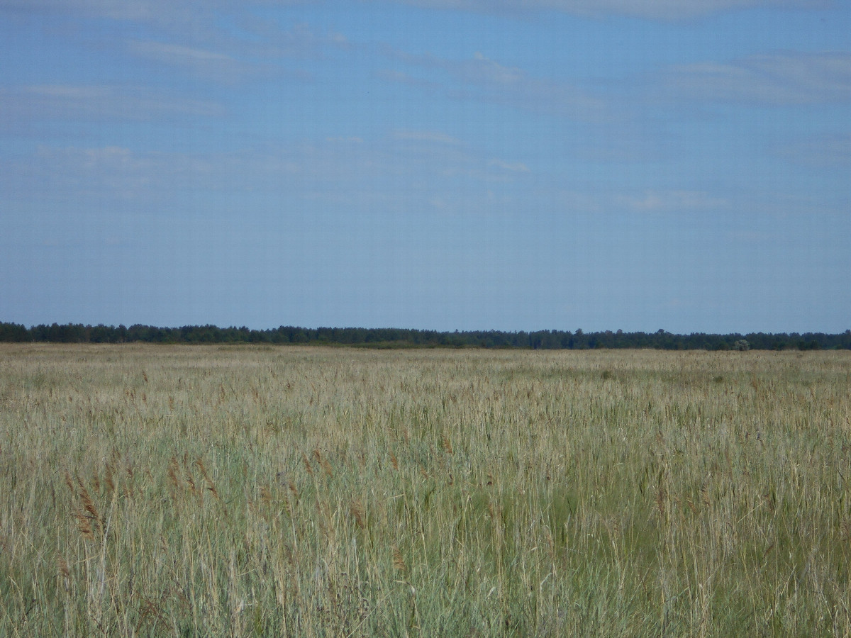 На восток / East
