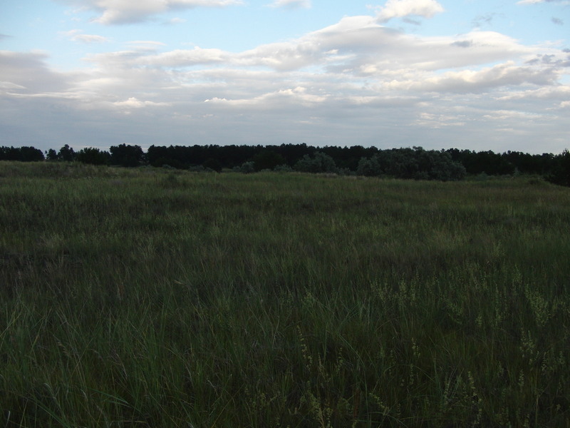 View East