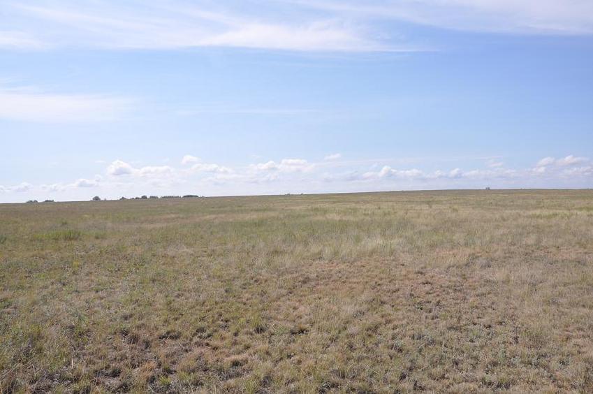 View to the South