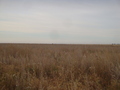 #2: Юг / South