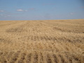 #3: Восток / East