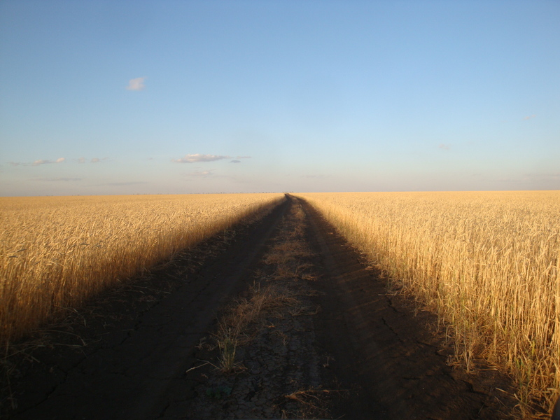 Дорога / Road