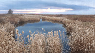 #10: View from the road / вид с дороги