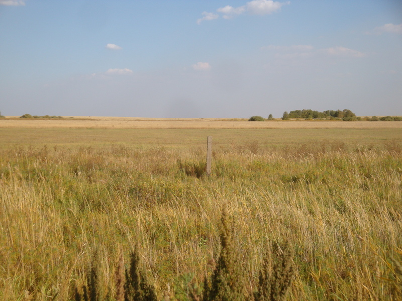 Вид с дороги на пересечение / Confluence view from the road