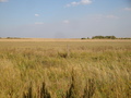 #6: Вид с дороги на пересечение / Confluence view from the road