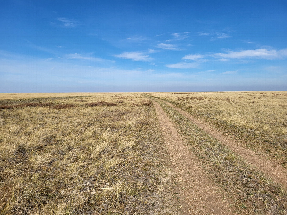 Steppe dirt road / степная дорога