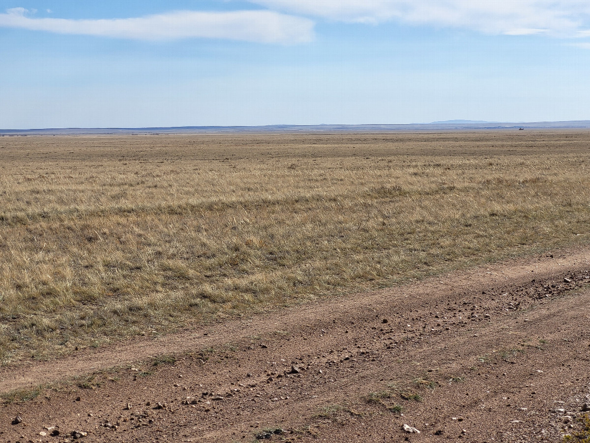 Local landscape / местный пейзаж