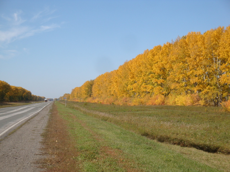 Осень / Autumn