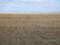 #2: Восток / East