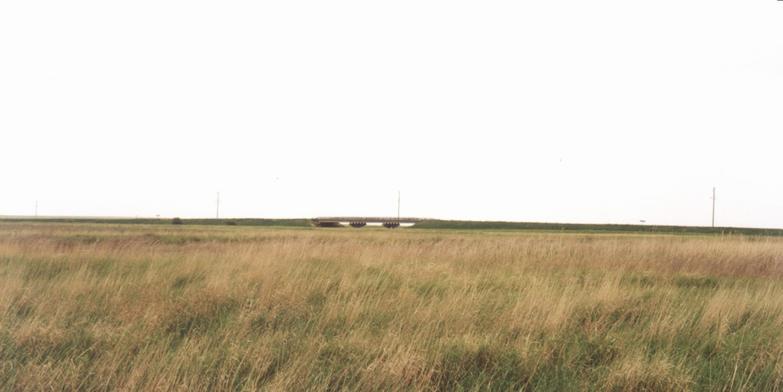 The steppe in Kazakhstan is wide.