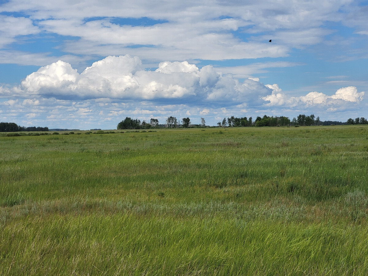 север / North