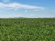 #4: Юг / South