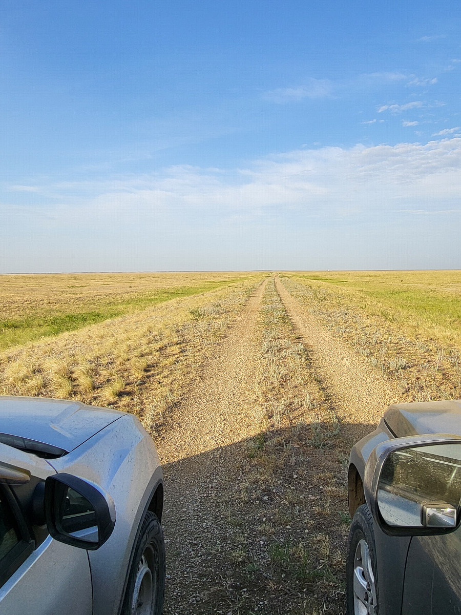 Место парковки / Parking lot