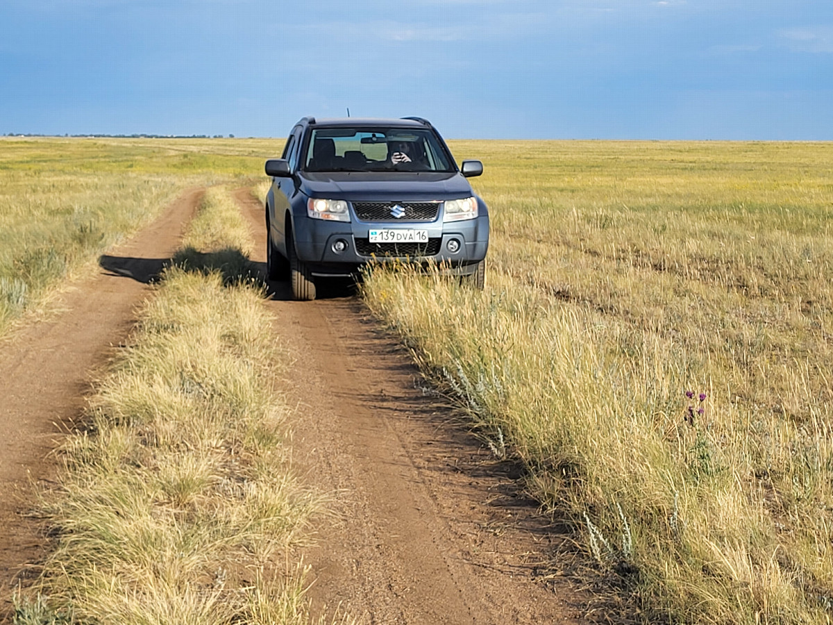 Полевая дорога / Field road