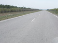 #7: На дороге саранча/Locust on the road