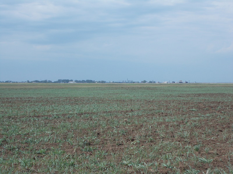 От точки до Дмитриевки 2 км/2 km from Dmitrievka to CP