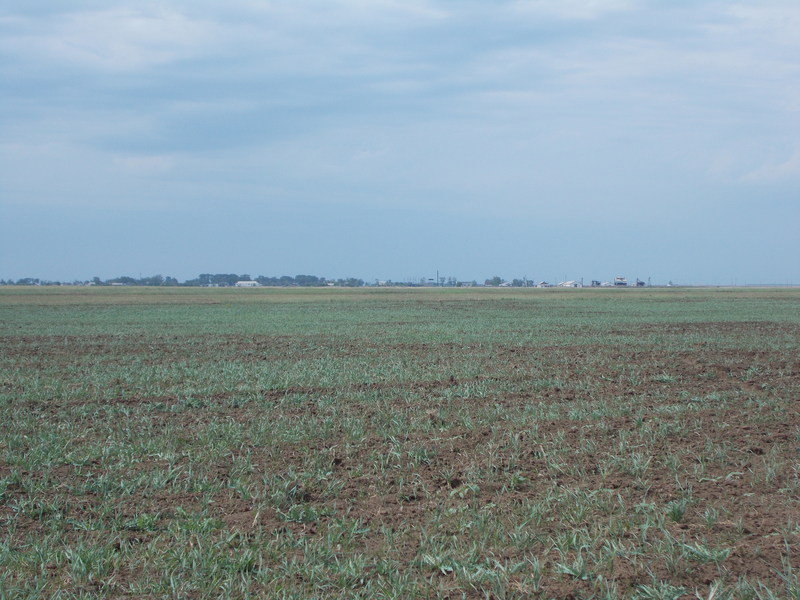 От точки до Дмитриевки 2 км/2 km from Dmitrievka to CP