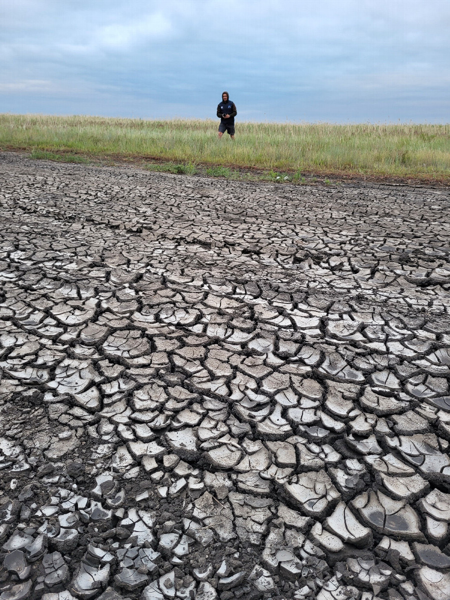 Вода отступила / Water has receded