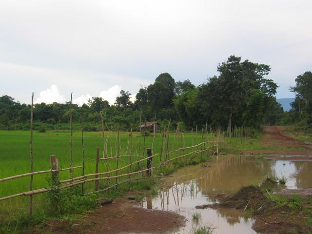 Road to the Village Ban Houay Namphak
