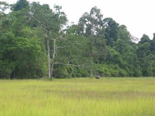 #1: Meadow 1.54 km from the confluence