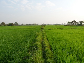 #1: View north of the confluence