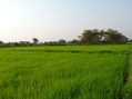 #2: View south of the confluence