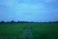 Visit #4: [27-Feb-12]