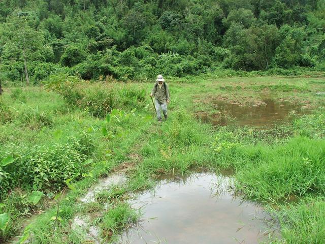 muddy field