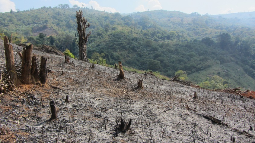 Burnt Countryside