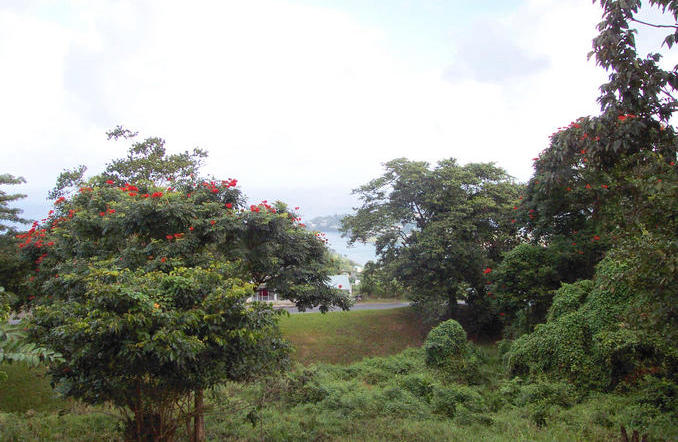 Looking NE towards the coast and Castries. The confluence is a few yards in front of the camera, down the slope.