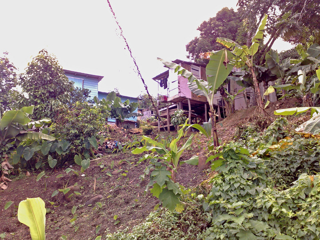 Houses dug into the steep hills