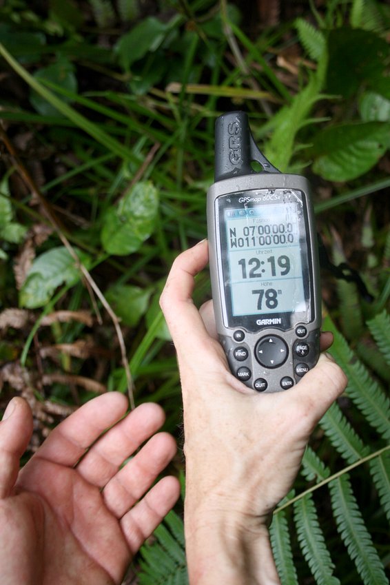 GPS zero in the middle of the swamp