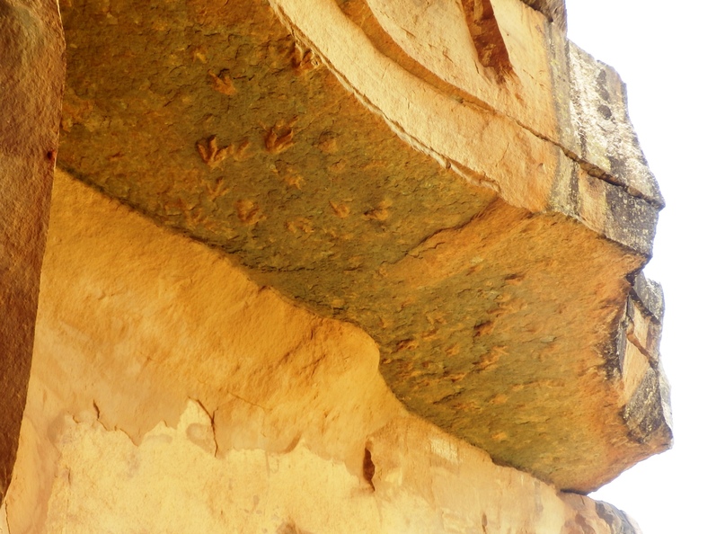 The dinosaur footprints near Leribe